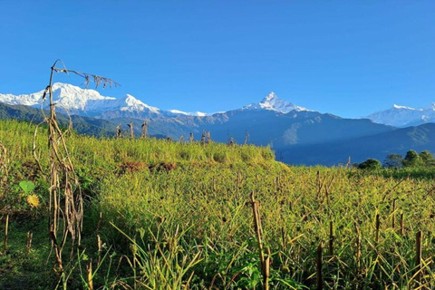 Pokhara : Escursione di un giorno ad Astham e al villaggio di Dhampus