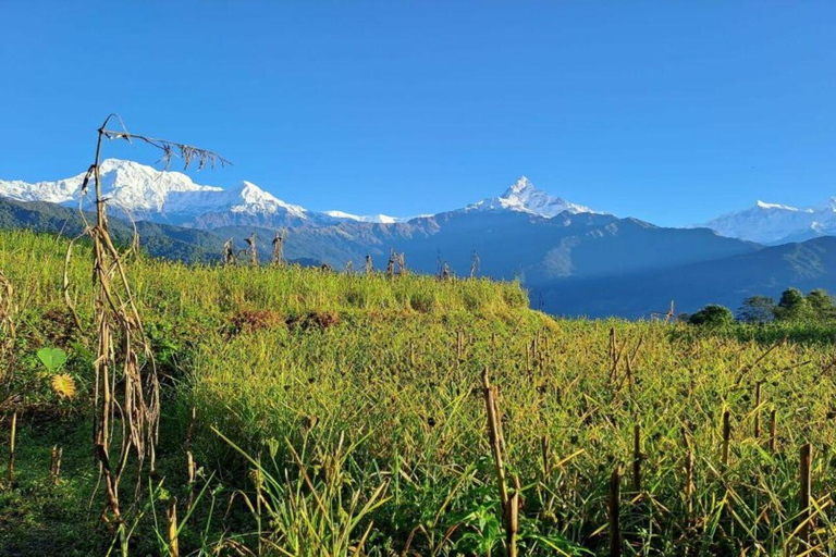 Pokhara : Journée de randonnée à Astham et au village de Dhampus