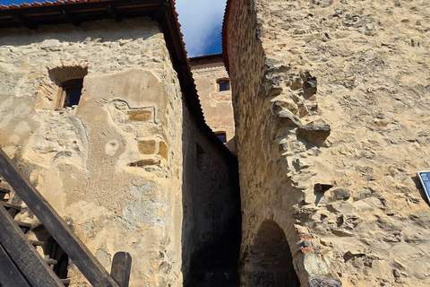 Saxon Villages Tour: Viscri, Rupea Fortress, Criț & Saschiz