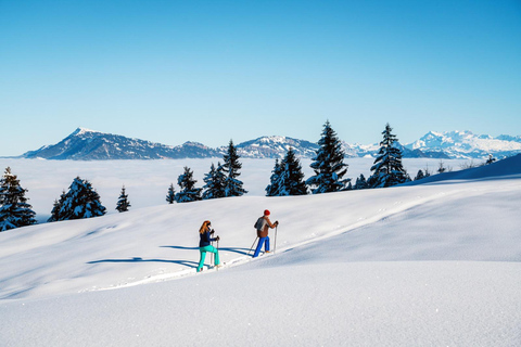 Kriens: Pilatus mit Panoramagondel und LuftseilbahnSommer-Exkursion