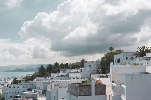 From Málaga and Costa del Sol: Day Trip to Tangier with Typical Moroccan Lunch Tour in Spanish