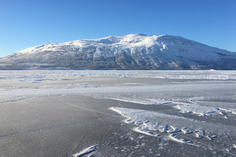 Abisko: Podlodowa wyprawa wędkarska nad jezioro Torneträsk