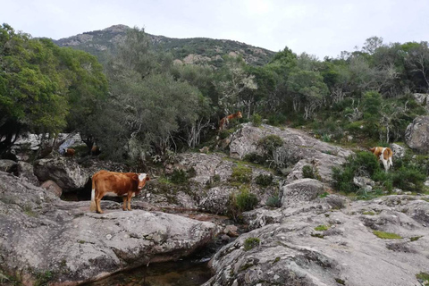 Moitié Terre, Moitié MerComplet Corse