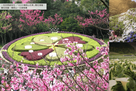 阳明山和北投地热奇观一日游