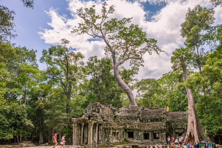 Recorridos de 3 días por la ciudad de Siem Reap y Phnom PenhExcursiones de 3 días: Siem Reap y Phnom Penh con Guía en Español