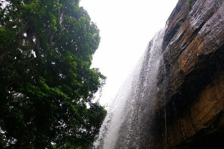 Kwale: Private day tour to Shimba Hills with Picnic lunch