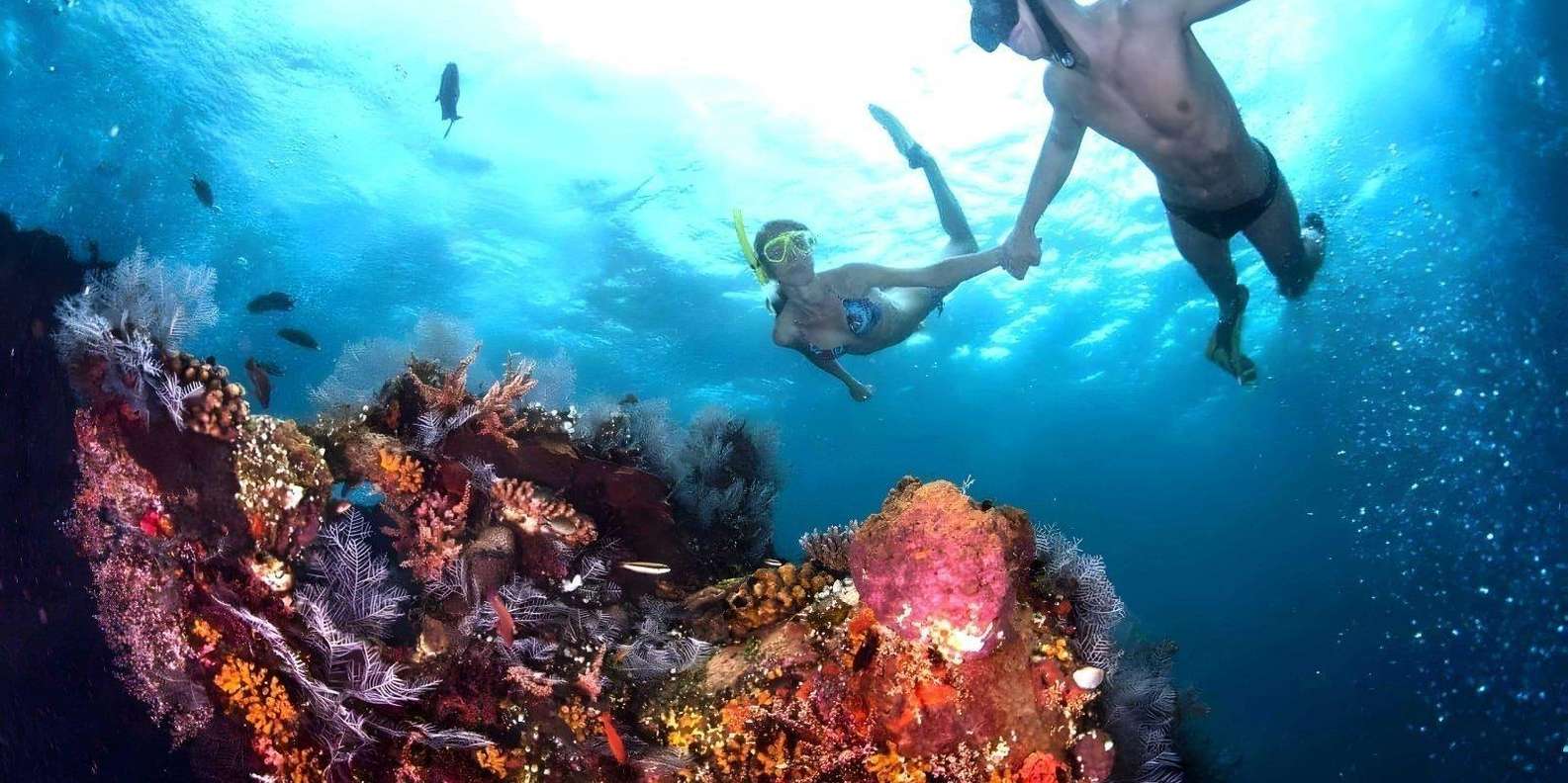 Bali: Blue Lagoon Snorkeling with Lunch & Transport