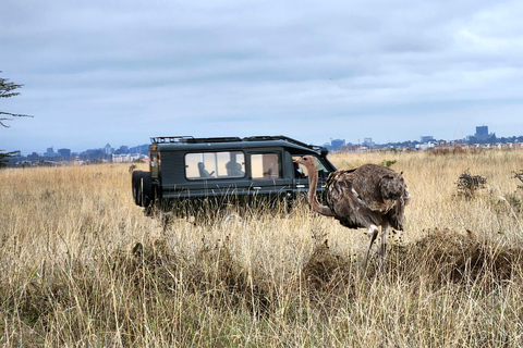 Nairobi National Park, Elephant Orphanage & Giraffe Centre