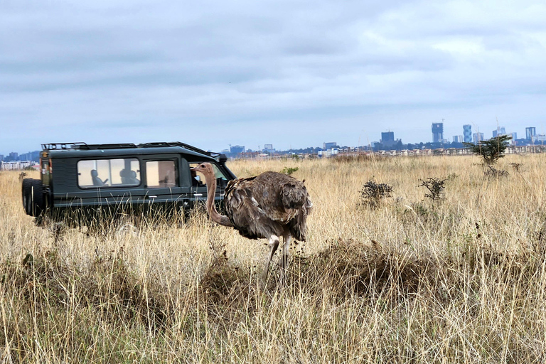 Nairobi National Park, Elephant Orphanage & Giraffe Centre