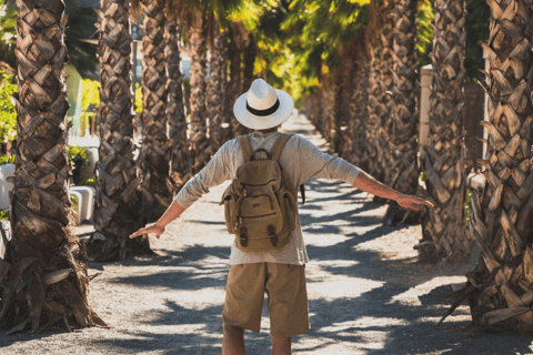 Los Cabos: San Jose del Cabo und Cabo San Lucas Tour