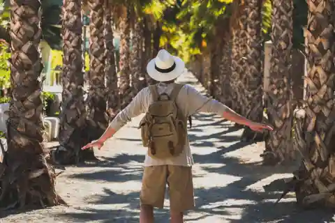 Los Cabos: San Jose del Cabo and Cabo San Lucas Tour