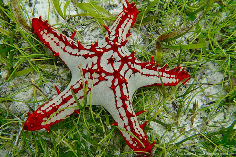 Zanzibar : déjeuner au restaurant The Rock et visite de la grotte de KuzaZanzibar : déjeuner au restaurant The Rock et visite de la grotte Kuza