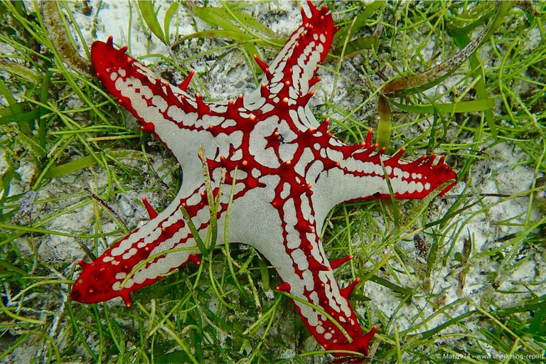 Zanzibar: lunch w restauracji The Rock i wycieczka do jaskini Kuza CaveZanzibar: Lunch w restauracji The Rock i wycieczka do jaskini Kuza Cave