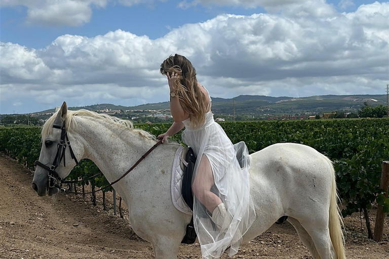 Alicante: przejażdżka konna po górach Maigmó, piknik i transferAlicante: Wycieczka konna na górę Maigmó, piknik i transfer