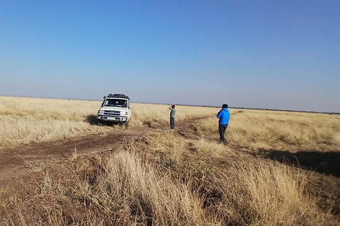 5-tägige Safari-Tour durch Awash und die Danakil-SenkeAddis Abeba: 5-tägige Safari-Tour durch Awash und die Danakil-Senke
