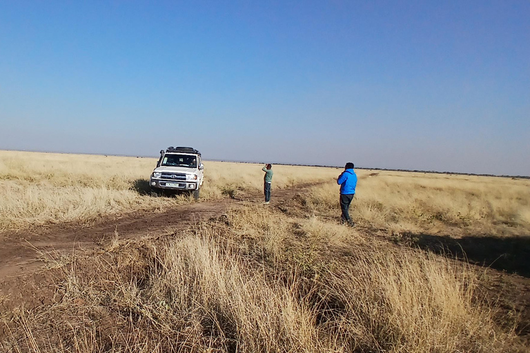 5-tägige Safari-Tour durch Awash und die Danakil-SenkeAddis Abeba: 5-tägige Safari-Tour durch Awash und die Danakil-Senke