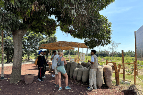 Lima: Ballestas-Inseln, Nazca-Linien und Huacachina-Tour