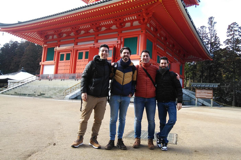 Da Osaka: escursione privata con guida al Monte Koya con veicoloFurgone fino a 7 posti