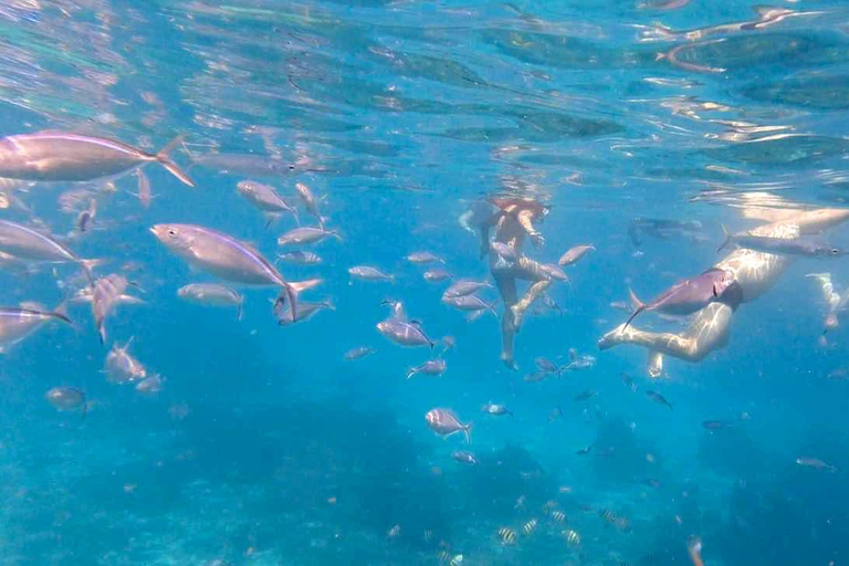 Punta Cana : Visite d&#039;une jounée de plongée avec masque et tuba à l&#039;île de Catalina