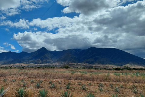 Mitla: Fahrradtour zur archäologischen Zone und zu Höhlen mit Felskunst