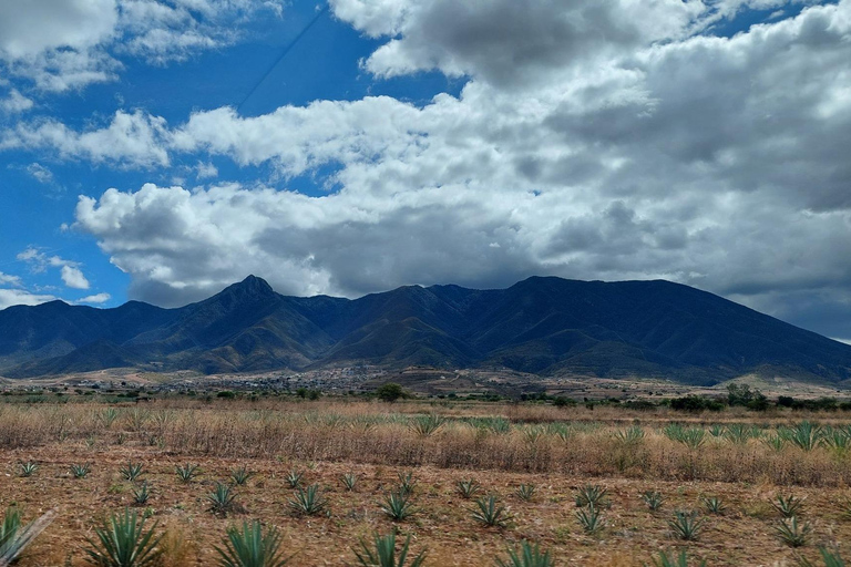 Mitla: Fahrradtour zur archäologischen Zone und zu Höhlen mit Felskunst