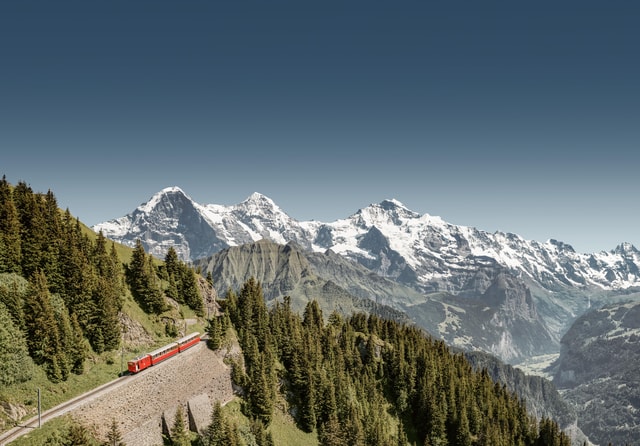 Schynige Platte - Top of Swiss Tradition ticket