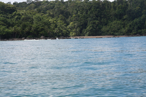 Parque Nacional do Corcovado: Sirena Day Tour Baía de Drake-Corcovado