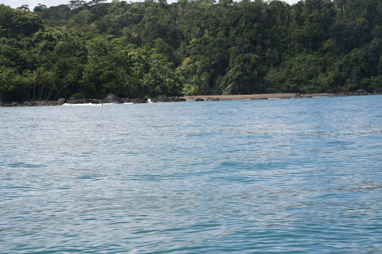 Parco Nazionale del Corcovado: Tour Sirena di un giorno Baia di Drake-Corcovado