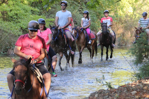 Marmaris/Icmeler : Horseback Riding Tour with Hotel Transfer