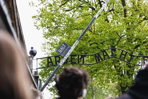 Krakow: Auschwitz-Birkenau Guided Trip with Transfers
