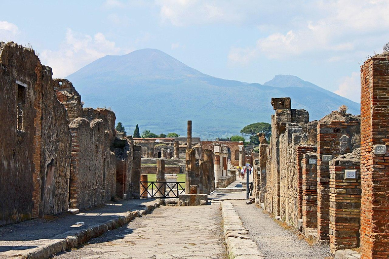 From Naples: Pompeii and Vesuvius Day Tour