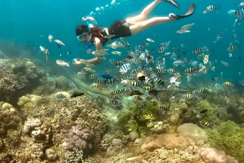 Viagem de 1 dia para mergulho com snorkel em Gili Layar/Gili Gede e Gili Rengit