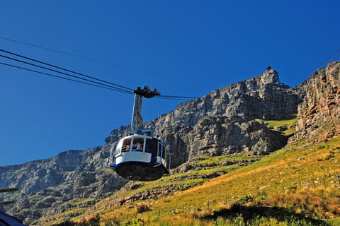 Table Mountain, Penguins & Cape of Good Hope Full-Day Tour