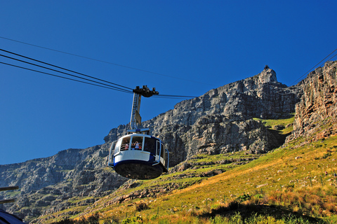 Table Mountain, Penguins & Cape of good hope full day Tour Private Tour for your group