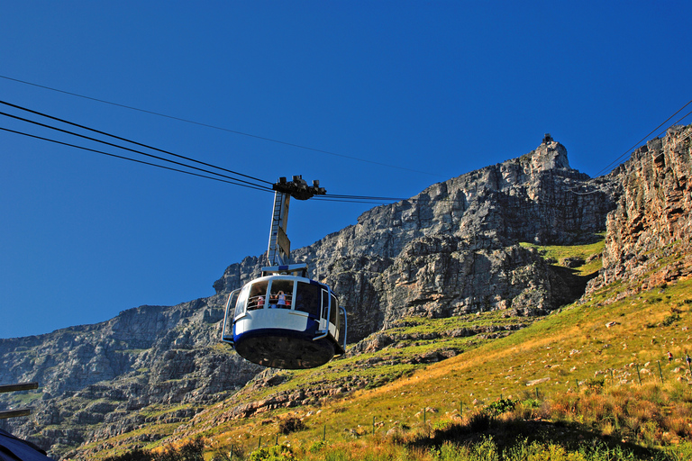 Table Mountain, Penguins & Cape of good hope full day Tour Private Tour for your group