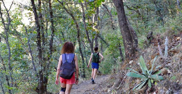 Trekking in Benito Juárez National Park