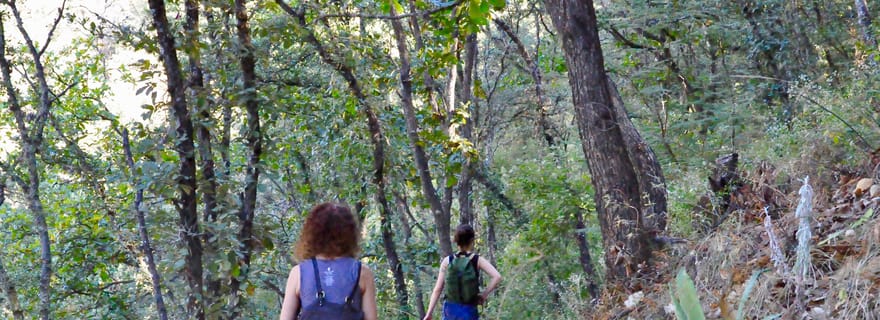 Randonnée dans le parc national Benito Juárez