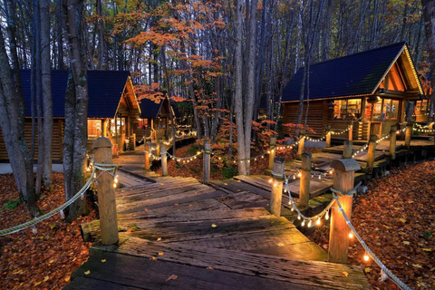 Sapporo:Asahiyama Zoo,Shirahige Waterfall&Blue Pond Day Trip 8:00 am meet at Odori Park subway station exit 31