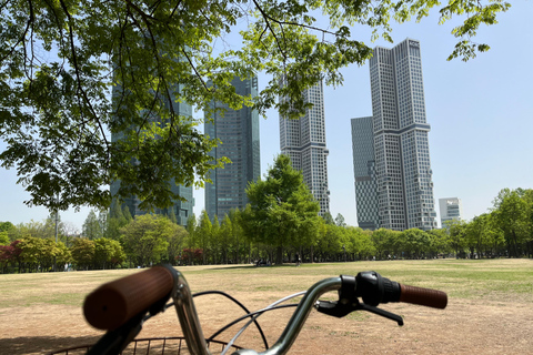 Seúl: Recorrido en Bicicleta por la Naturaleza Urbana del Río HanExcursión matinal en bicicleta