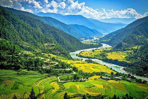 Private Thimphu Full or Half Day tour with Lunch
