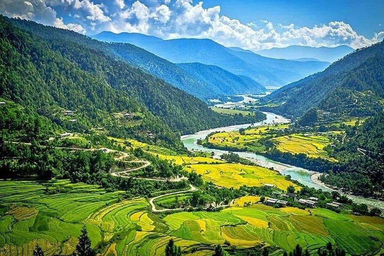 Private Thimphu Full or Half Day tour with Lunch
