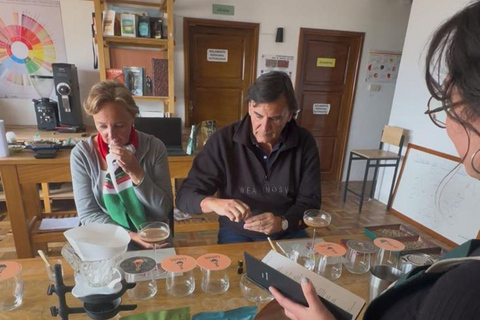 La Paz: Bolivian specialty coffee experience