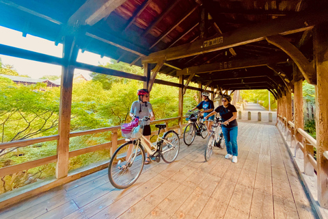 Visita a Kyoto: Passeio de E-Bike com o Santuário Fushimi Inari e Tofukuji ...