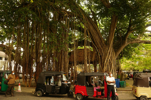 Galle: Fort Walking Tour with Local Guide + Lunch