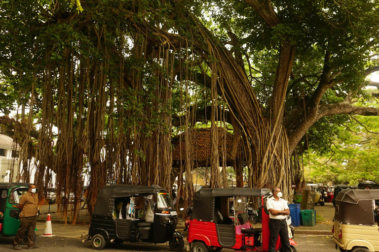 Depuis Colombo : Excursion d&#039;une journée tout compris à Galle