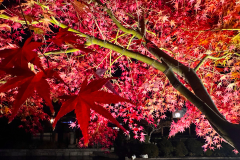 Kyoto: Fully customizable your own tour in the old capital