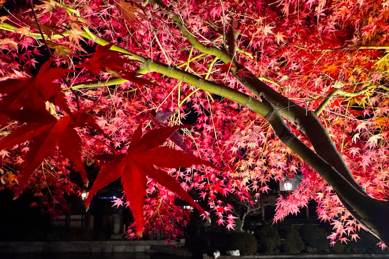 Kyoto: Fully customizable your own tour in the old capital