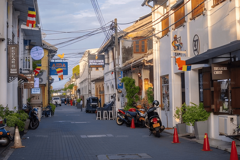 From Colombo: Private Transfer to Hambantota with Stops