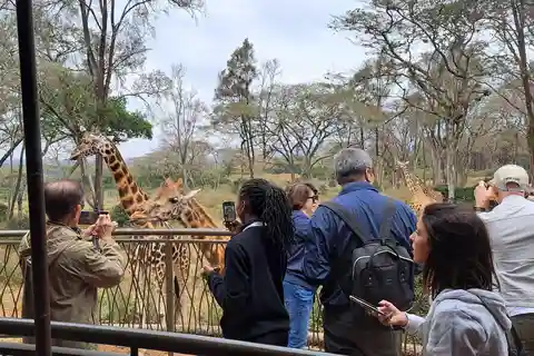 Nairobi: David Sheldrick Elephant Orphanage and Giraffe …