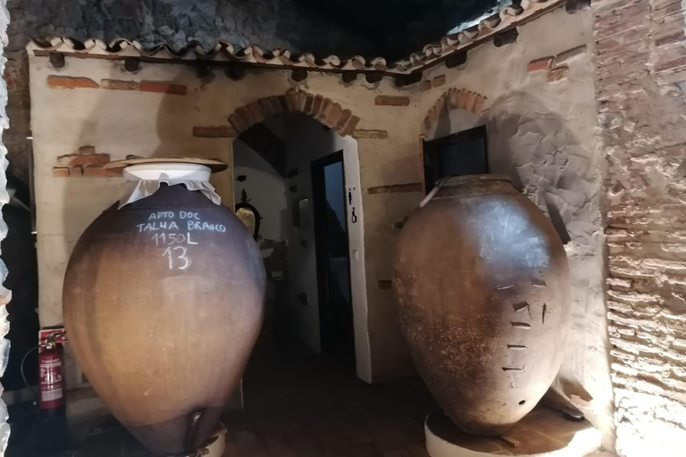 Vila de Frades: Talha Wine Tour with Tastings